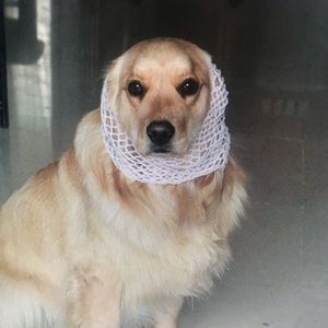 Meet your Posher, Freddy